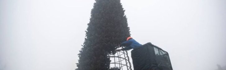 В Киеве начали украшать "елку несокрушимости"