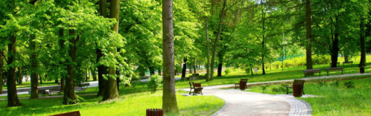 В Оболонському районі Києва може з'явитися парк площею більше 30 гектарів