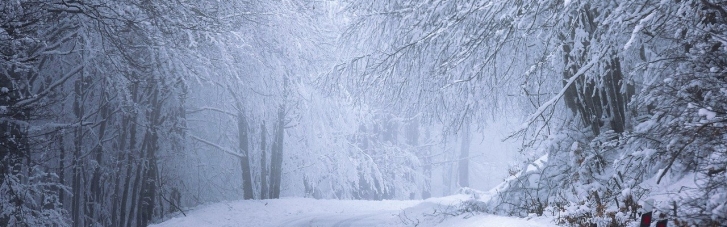 Мороз, хуртовини, до 30 см снігу: синоптики попередили про погіршення погоди
