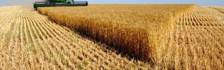 "Це виклики для агросектору ЄС", — міністр сільського господарства Польщі про вступ України до Євросоюзу
