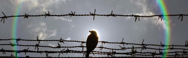 Влада Білорусі звинуватила захисників птахів в екстремізмі