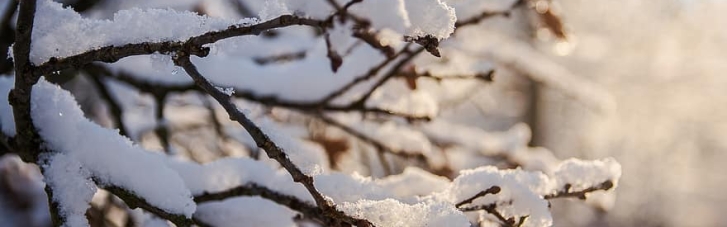 Зимой в Украине может быть на 1-2 градуса теплее нормы, — Укргидометцентр