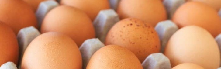 Правила продажу для курячих яєць на ринку незабаром зміняться, - Мінагрополітики