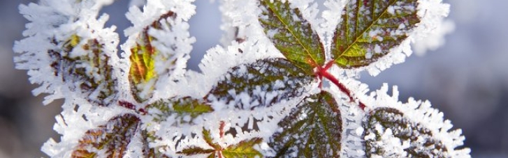 Погода в Украине: Прибыло прогнозируемое похолодание, местами снег и гололед (КАРТА)