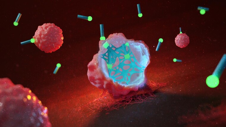 Розроблено новий метод боротьби з раком за допомогою молекулярних волокон/MPI-P