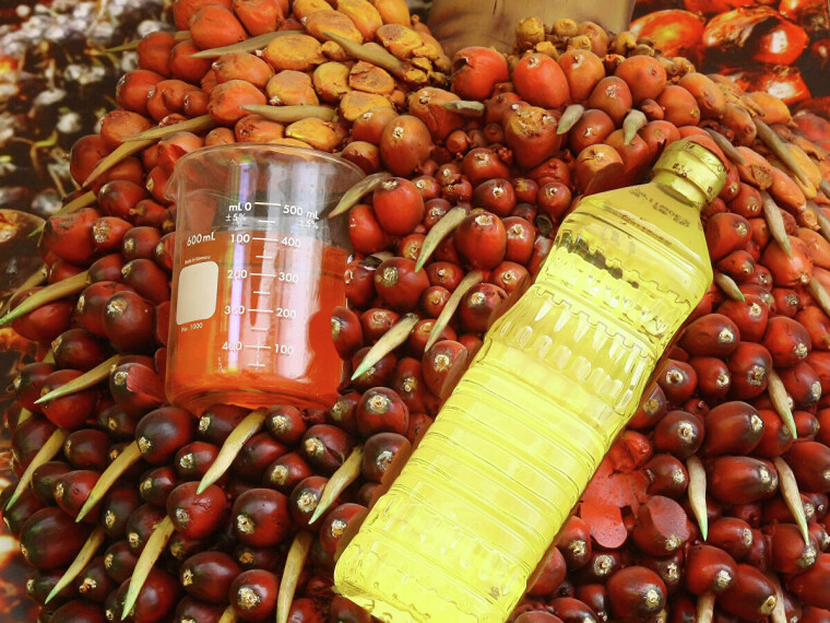 Рафинированное пальмовое масло промышленного изготовления отличается от "африканского" красного даже внешне / headtopics.com