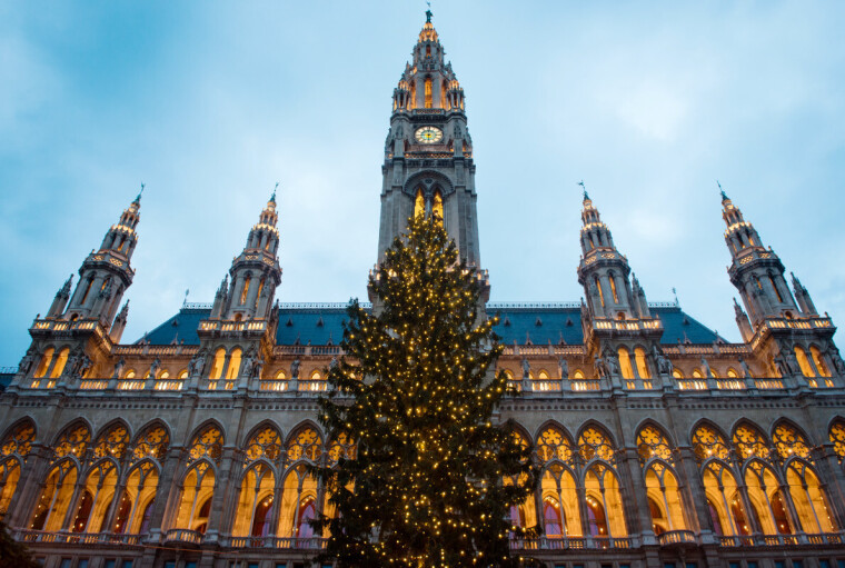 Новогодняя елка в Вене (фото: europeanbestdestinations.com)