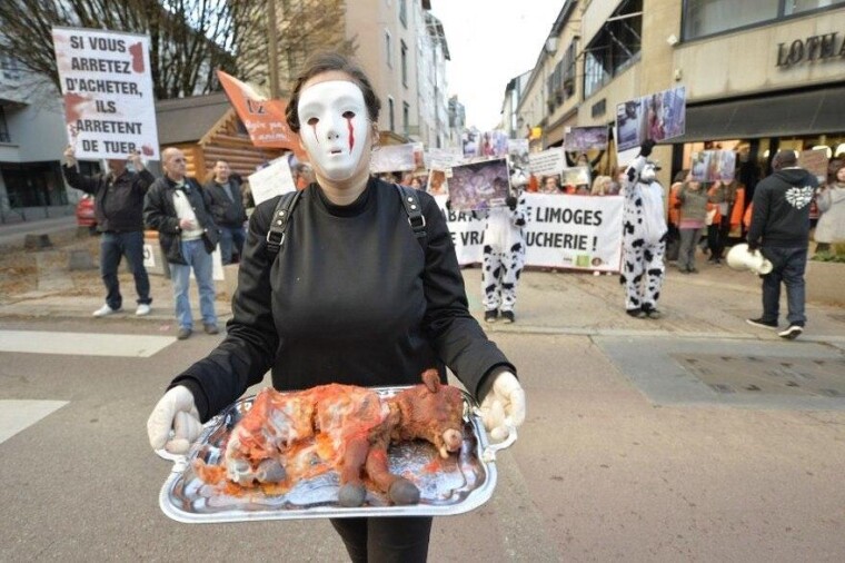 Протест против животноводства во Франции