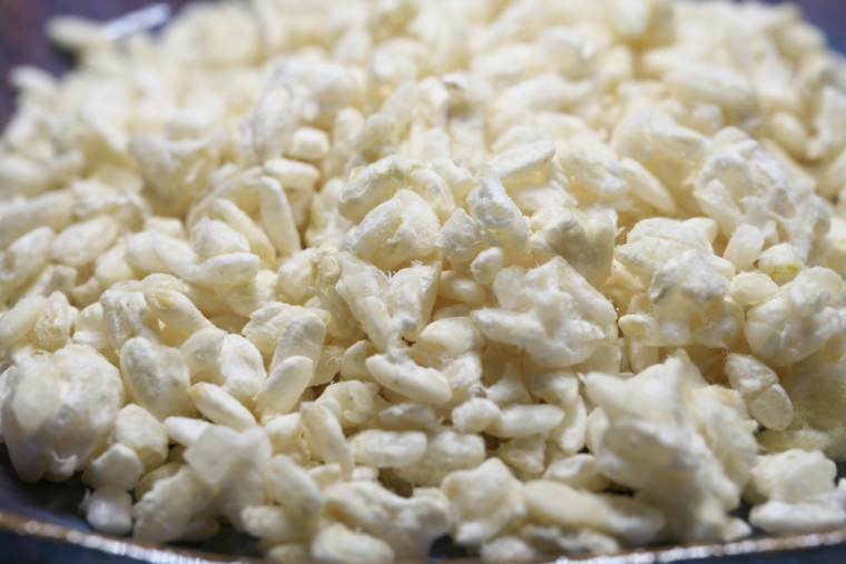Колония кодзи (Aspergillus oryzae) на зернах риса