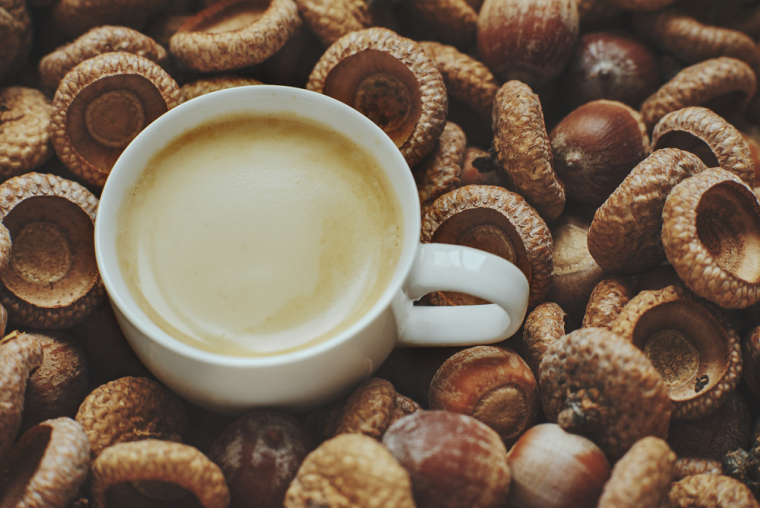Желудевый кофе приобретает все большую популярность у людей, заботящихся о своем здоровье