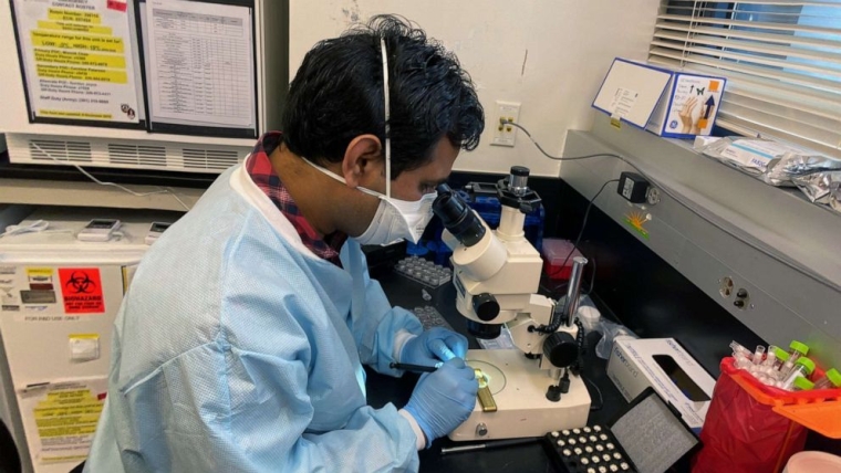 Ученый работает над разработкой вакцины против коронавируса