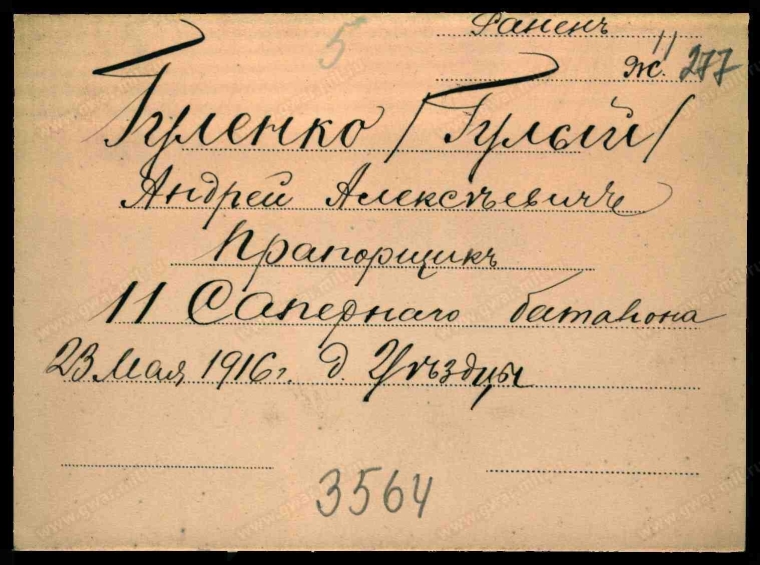 Документ часів Першої світової війни із згадкою про поранення Андрія Гуленка (Гулого)