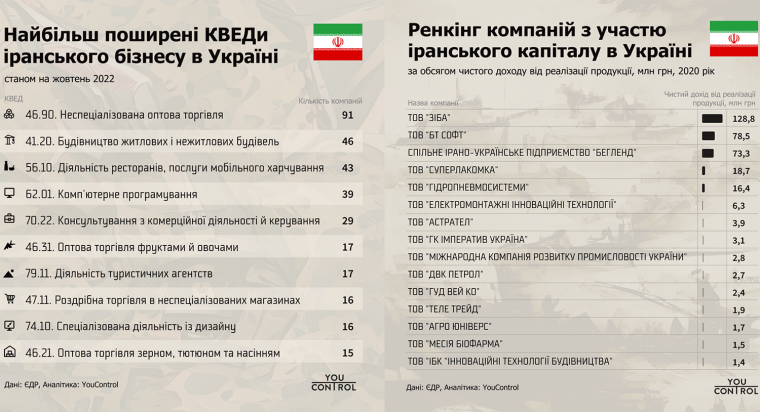 Иранские компании в Украине по видам экономической деятельности и доходу