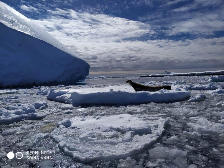 Антарктичний пейзаж. Фото: Анна Соіна