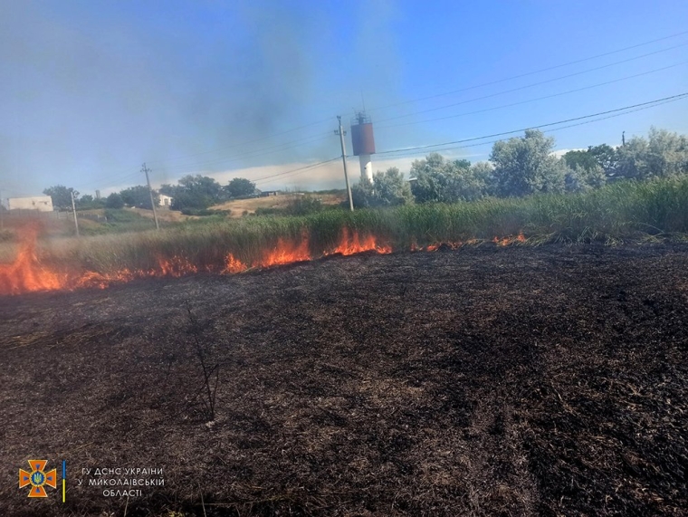 На Миколаївщині згоріла пшениця