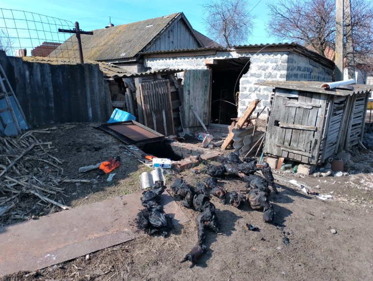 Части сгоревших тел, найденные в Гусаровке