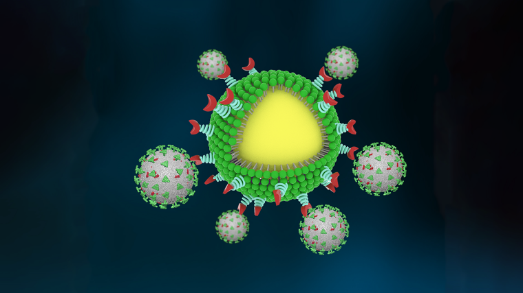 Нанолапка показана с желтым ядром, зеленой фосфолипидной оболочкой и красными частицами для связывания вируса (показаны серым, украшены шипованным зеленым белком)