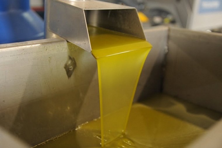 Процес промислового одержання оливкової олії Extra-virgin