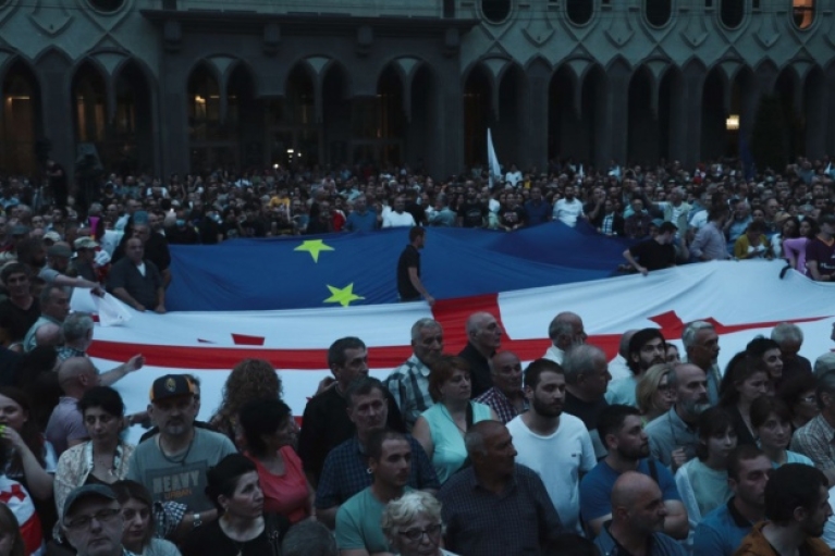 Зеленський та Арахамія "виступили" на багатотисячному антиурядовому мітингу в Тбілісі (ФОТО, ВІДЕО)