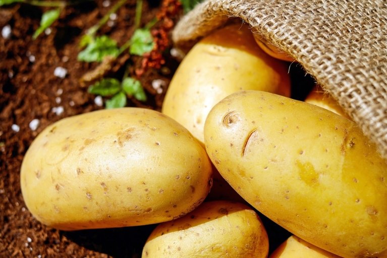 Без химикатов: как правильно выбрать на рынке молодую картошку