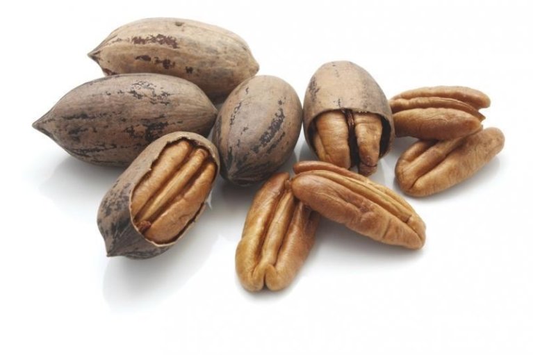 Может снизить риск сердечных заболеваний и диабета: полезные свойства ореха пекан