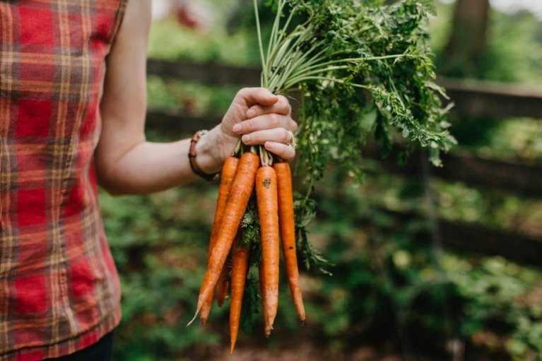 Морква під забороною: лікарі сказали, кому не можна їсти овоч