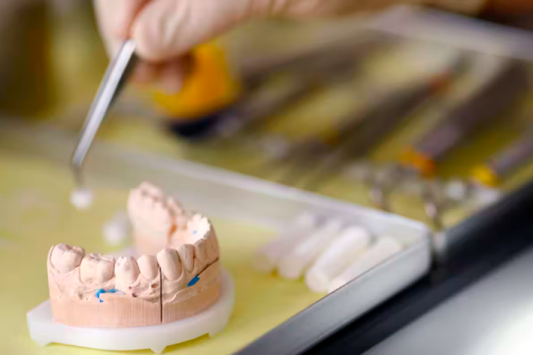 В Японии будут испытывать первое в мире лекарство для выращивания зубов