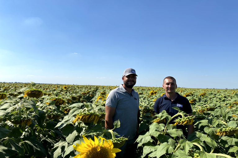 Посеять будущее. Как агрокомпания Lidea поддерживает украинских фермеров