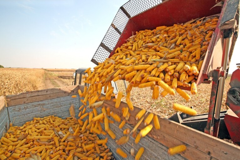 Украинский агробизнес на мировых рынках. Где найти $20 млрд для прорыва
