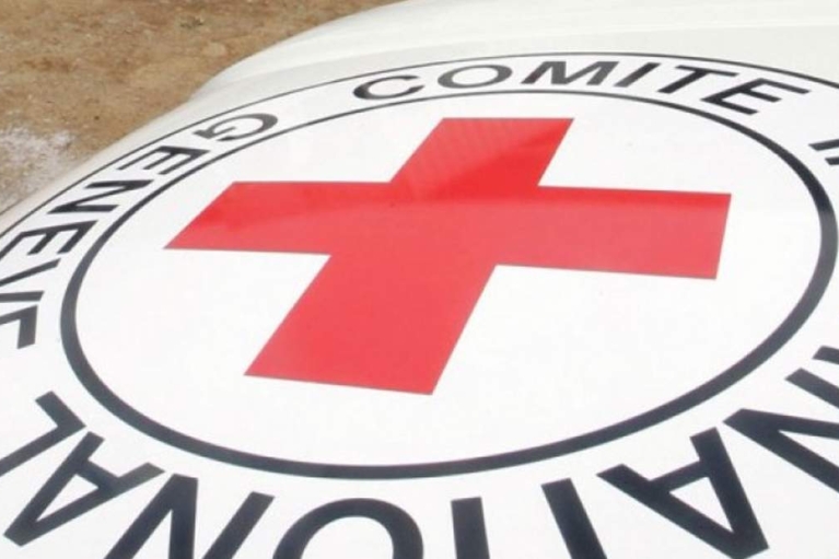 Международный Красный Крест приостановил членство Беларуси
