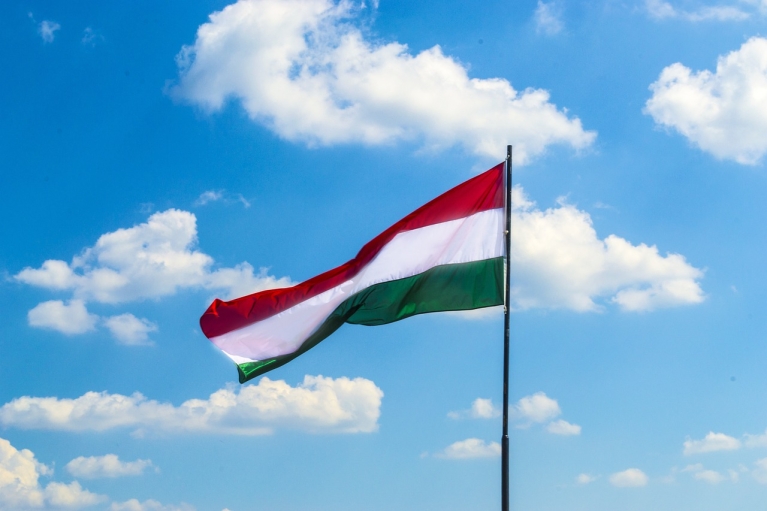 Резолюція Ради Європи щодо України: Угорщина наклала вето