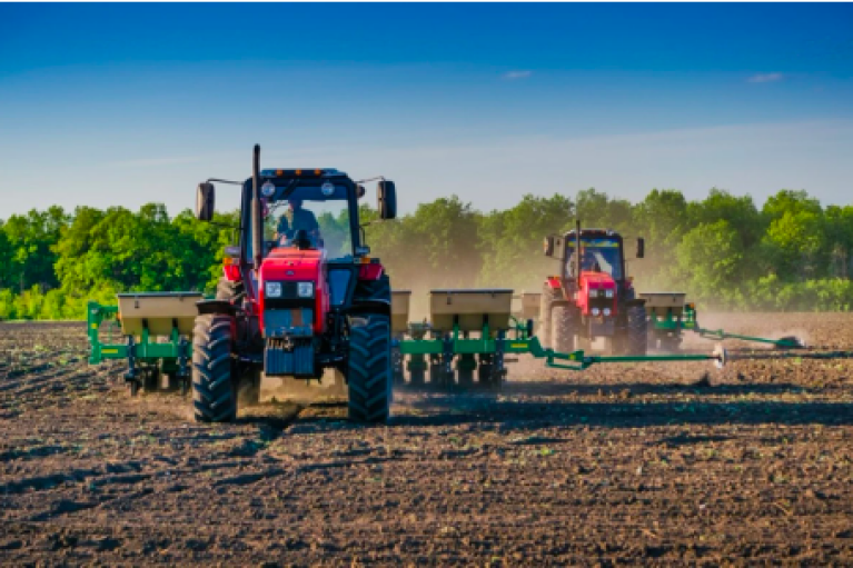 Наперекір війні: Аграрії України засіяли перший мільйон гектарів ярини