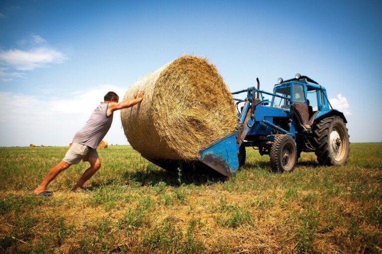Онлайн-конференція "ДС": Чи зламає законопроект про ринок землі аграрний сектор? (ВІДЕО)
