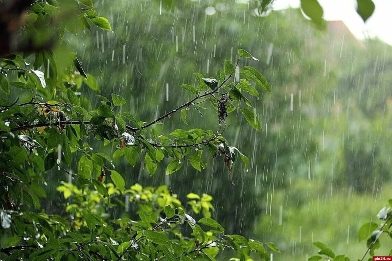 Погода в Украине 24 мая: в половине регионов пройдут дожди (КАРТА)