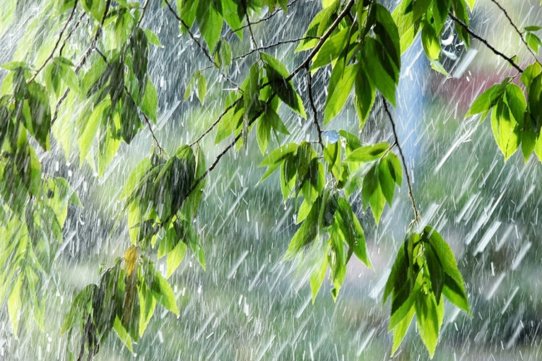 Погода на 30 травня: дощі пройдуть по всій Україні (КАРТА)