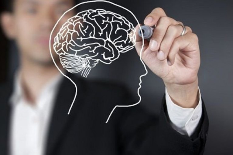 Здоровье мозга: названы лучшие продукты для поддержания когнитивных способностей
