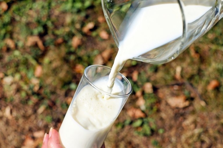Помогут снизить уровень холестерина: названы 5 полезных для сердца видов молока