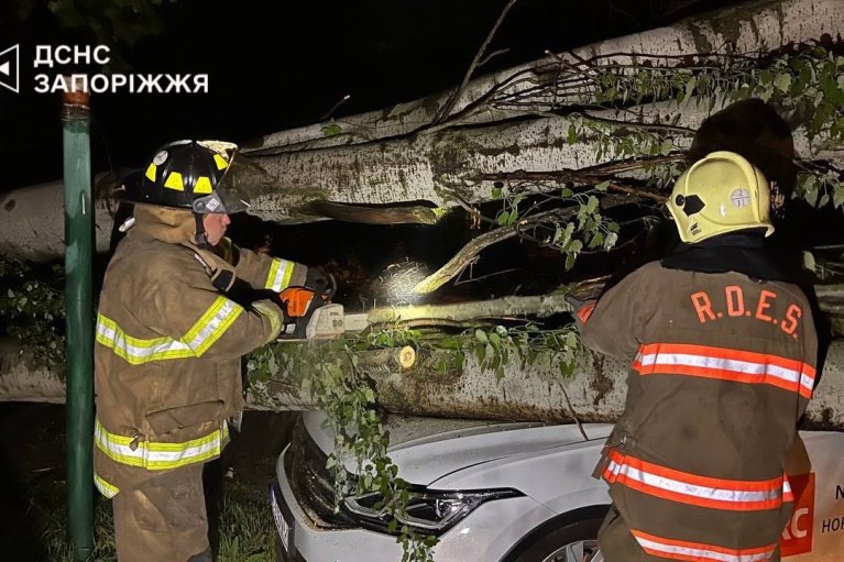 Повалені дерева і пошкоджені електромережі: у чотирьох областях Україн вирувала негода (ФОТО)