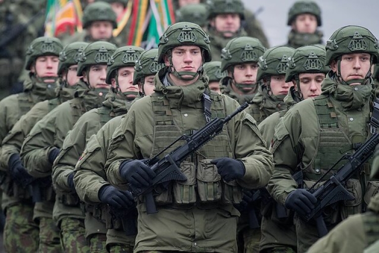 Премьер Литвы заявила, что Вильнюс готов отправить свои войска в Украину.