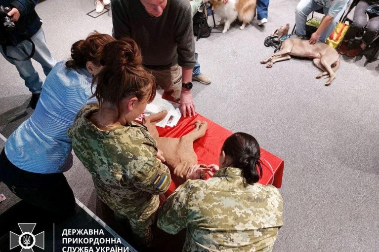 Пограничников учат оказывать первую медпомощь четвероногим бойцам (ФОТО)