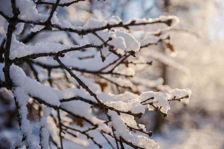 Погода в Україні на 8 лютого: На півдні пройде сніг, місцями до -10°  (КАРТА)