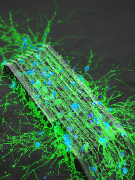 Нейроны на магнитоуправляемом микророботе для искусственной нейронной сети / Хунсу Чой